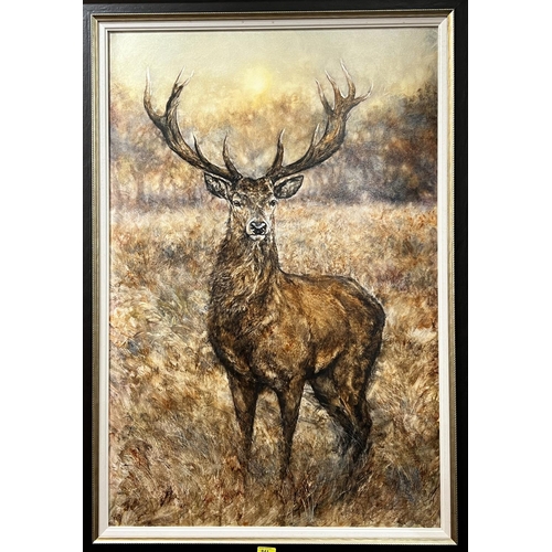 841 - Gary Benfield (British Contemporary) large oil on board of a full Stag standing in long grass signed... 