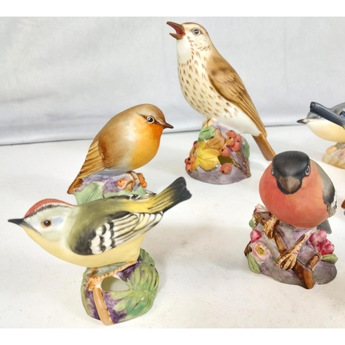 626 - 8 Royal Worcester models of various birds