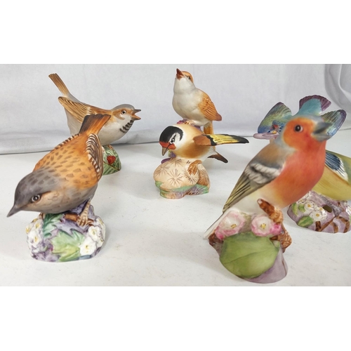 625 - 8 Royal Worcester models of various birds