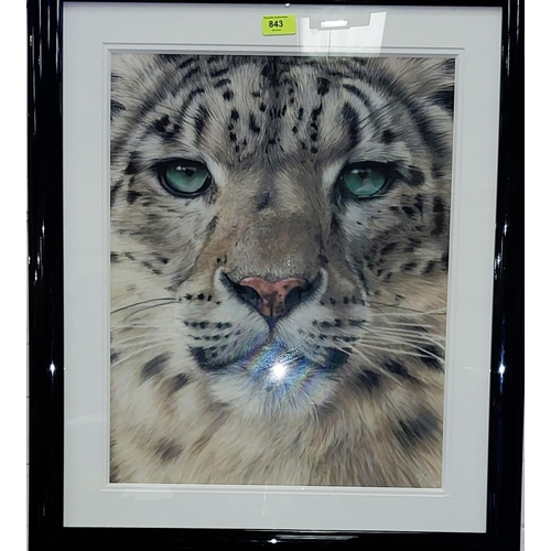 843 - VALERIE SIMMS - pastel on paper, big cat portrait, signed, 49 x 38cm, framed and glazed