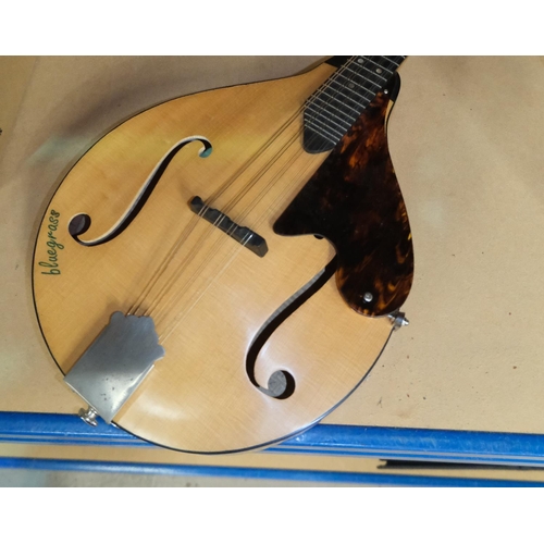 129B - An Ash Bluegrass Mandolin  