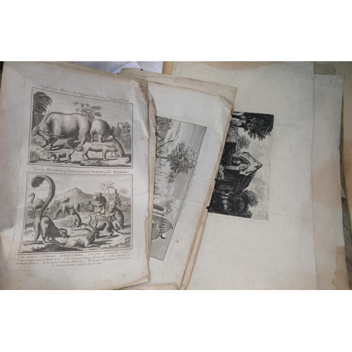 57 - An 18th century print of a tiger, 2 others from the same series 22 x 30cm; a print of lion cubs afte... 