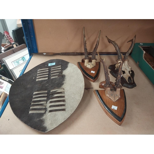 63 - An African tribal zebra skin shield; a short spear; 3 pairs of deer antlers mounted on oak plaques.