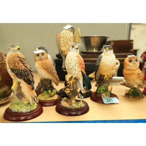 281 - Six Border Fine Arts resin models of birds of prey (small) and two country artists owls.