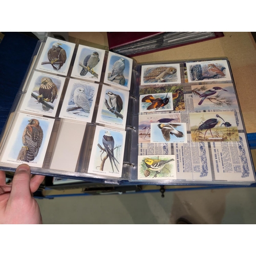 18 - Two albums of natural history cards, including General Cigar Company, Lipton, Arm & Hammer etc. ... 