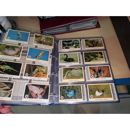 18 - Two albums of natural history cards, including General Cigar Company, Lipton, Arm & Hammer etc. ... 