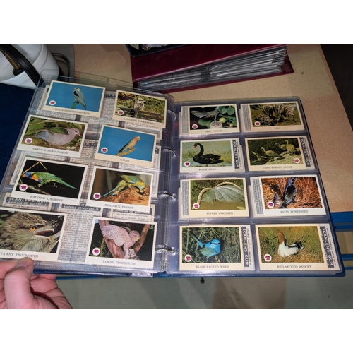 18 - Two albums of natural history cards, including General Cigar Company, Lipton, Arm & Hammer etc. ... 