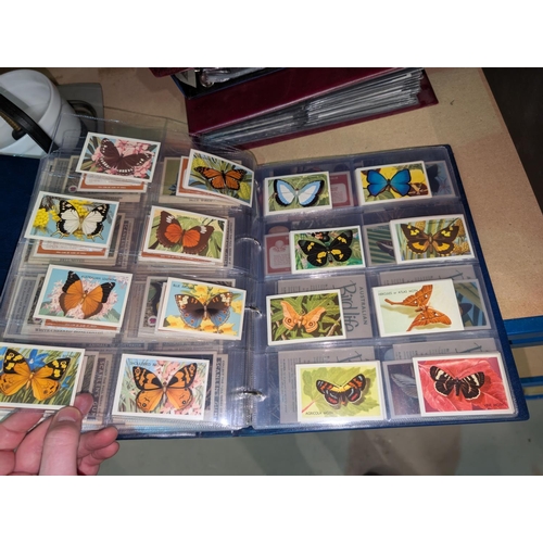 18 - Two albums of natural history cards, including General Cigar Company, Lipton, Arm & Hammer etc. ... 