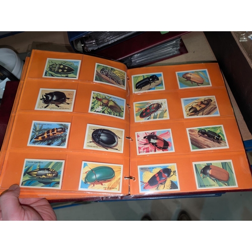 18 - Two albums of natural history cards, including General Cigar Company, Lipton, Arm & Hammer etc. ... 