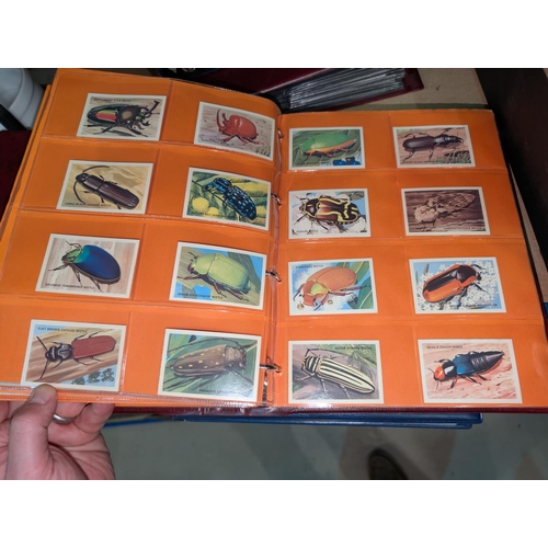 18 - Two albums of natural history cards, including General Cigar Company, Lipton, Arm & Hammer etc. ... 