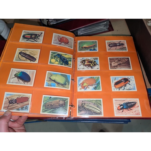 18 - Two albums of natural history cards, including General Cigar Company, Lipton, Arm & Hammer etc. ... 