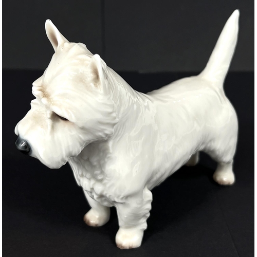 475 - A NYMPHENBURG porcelain figure of a West Highland white terrier, length 15cm.