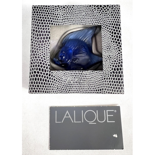 586 - LALIQUE: a sapphire blue glass fish seal, engraved signature, original box