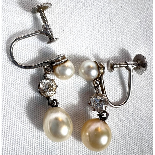 688 - A pair of pearl and diamond drop earrings in a white gold screw on fitting, stamped 9ct, in original... 