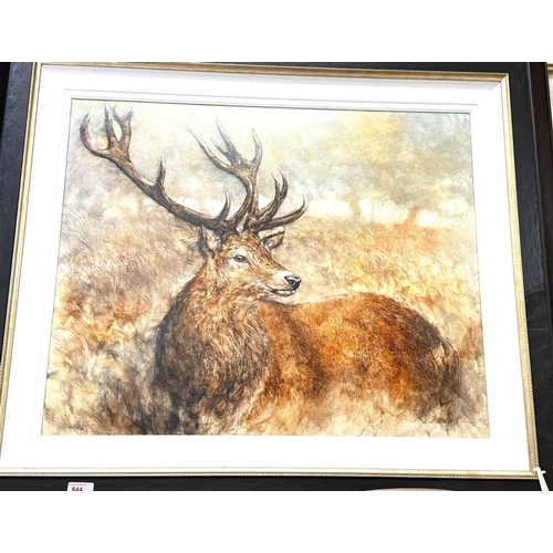 844 - Gary Benfield (British Contemporary) oil on board of a  Stag in long grass and woodland, signed lowe... 