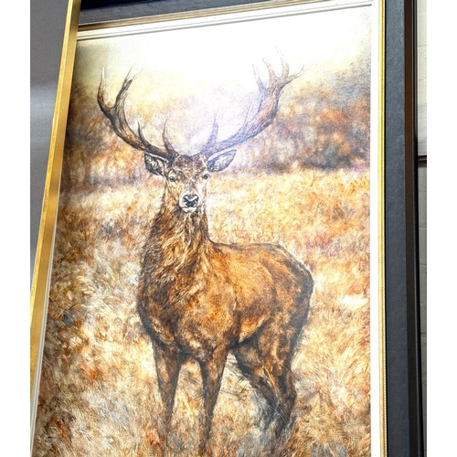 845 - Gary Benfield (British Contemporary) large oil on board of a full Stag standing in long grass signed... 