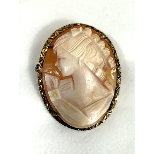 737C - A female cameo brooch in 9ct surrounding.