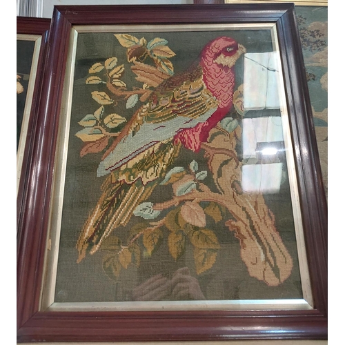 114 - VICTORIAN woolwork pictures, 2 ornamental birds, executed by sisters Marhan Ann and Ellen Stott, Sha... 