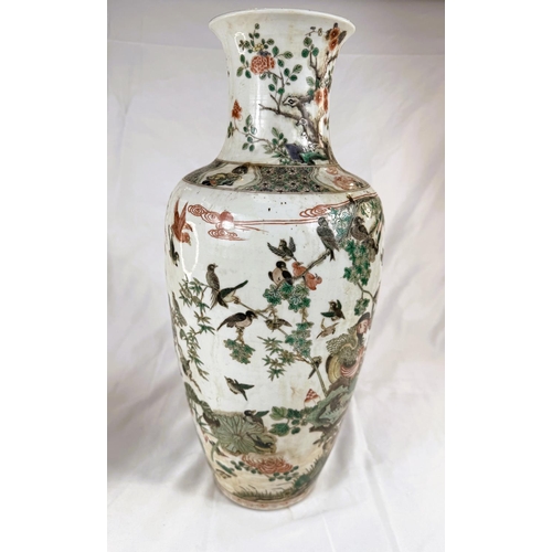 434B - A Chinese Famille Verte vase with polychrome decoration of birds on branches, height 44cm.