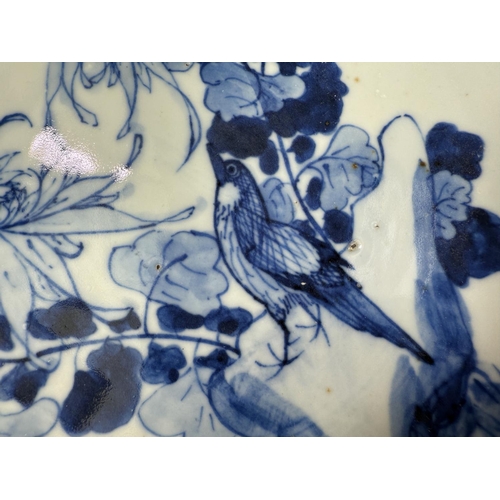 442 - A late 19th Century Chinese blue and white ceramic dish with bird on flowers, diameter 27cm.