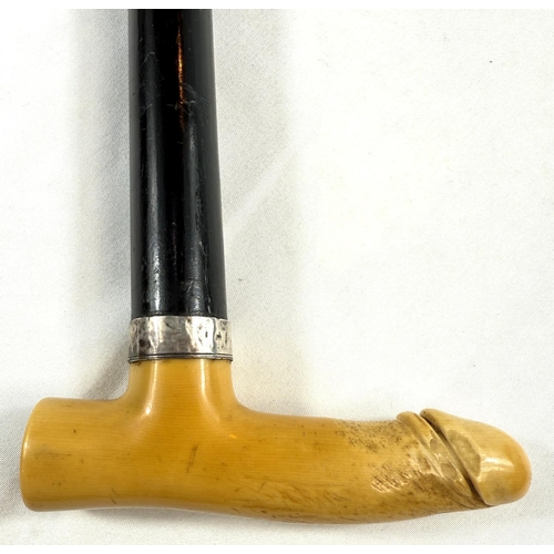 10 - A 19th Century carved ivory ebonised stick with carved ivory handle of penis form, 88cms.