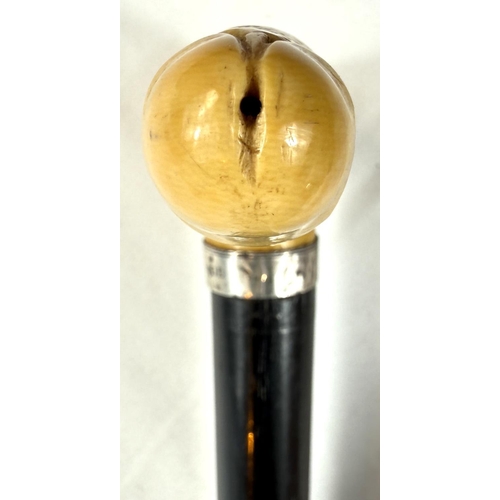 10 - A 19th Century carved ivory ebonised stick with carved ivory handle of penis form, 88cms.