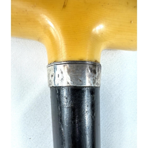 10 - A 19th Century carved ivory ebonised stick with carved ivory handle of penis form, 88cms.