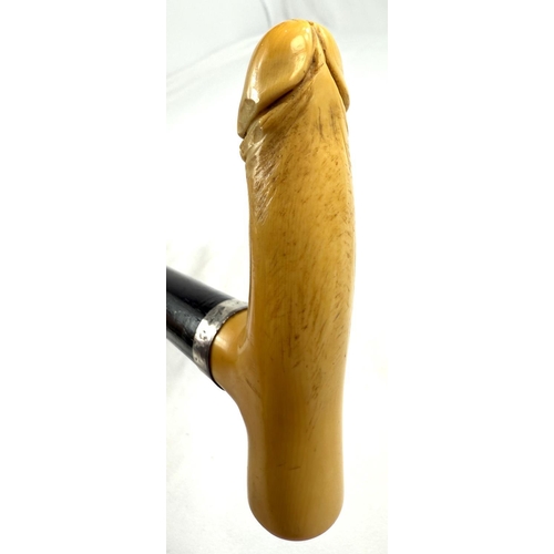 10 - A 19th Century carved ivory ebonised stick with carved ivory handle of penis form, 88cms.