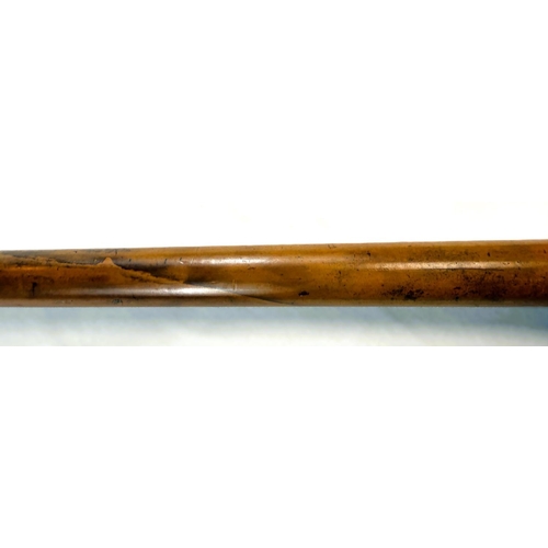 12 - A 19th Century Malacca cane stick with carved ivory handle of a greyhound's head, 91cms.