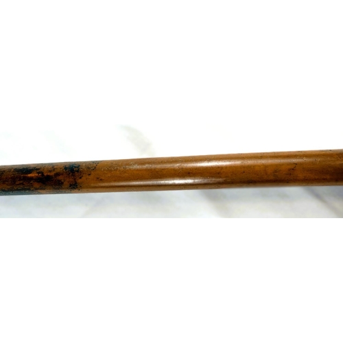 12 - A 19th Century Malacca cane stick with carved ivory handle of a greyhound's head, 91cms.