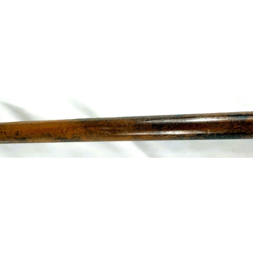 12 - A 19th Century Malacca cane stick with carved ivory handle of a greyhound's head, 91cms.