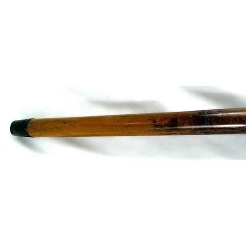 12 - A 19th Century Malacca cane stick with carved ivory handle of a greyhound's head, 91cms.