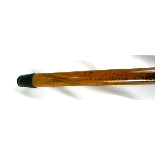 12 - A 19th Century Malacca cane stick with carved ivory handle of a greyhound's head, 91cms.