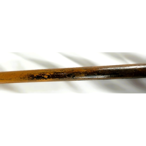 12 - A 19th Century Malacca cane stick with carved ivory handle of a greyhound's head, 91cms.