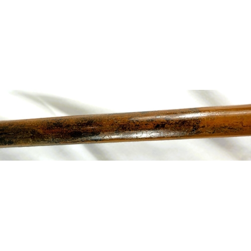 12 - A 19th Century Malacca cane stick with carved ivory handle of a greyhound's head, 91cms.