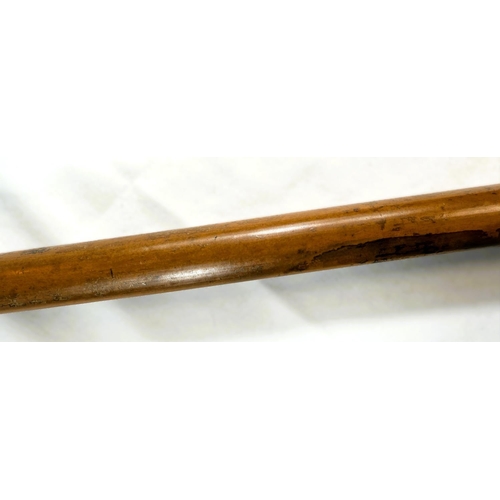 12 - A 19th Century Malacca cane stick with carved ivory handle of a greyhound's head, 91cms.