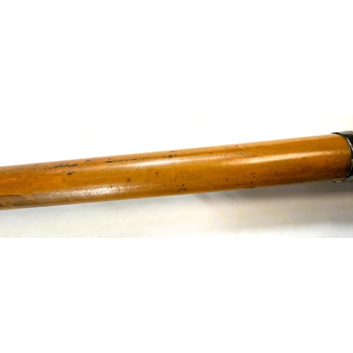 12 - A 19th Century Malacca cane stick with carved ivory handle of a greyhound's head, 91cms.