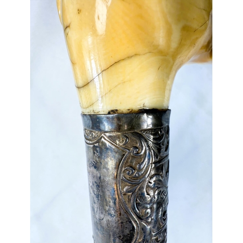 12 - A 19th Century Malacca cane stick with carved ivory handle of a greyhound's head, 91cms.