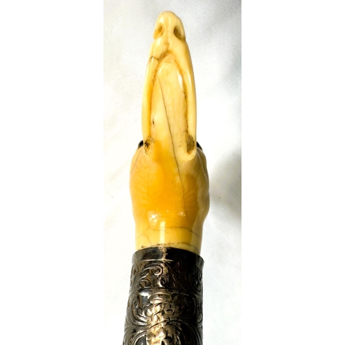 12 - A 19th Century Malacca cane stick with carved ivory handle of a greyhound's head, 91cms.