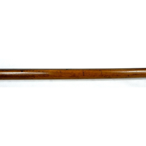 13 - A 19th Century Malacca cane stick with carved ivory handle of an angry dog, 85cms.WITHDRAWN FROM THI... 