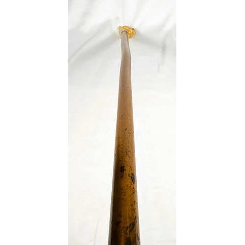 13 - A 19th Century Malacca cane stick with carved ivory handle of an angry dog, 85cms.WITHDRAWN FROM THI... 