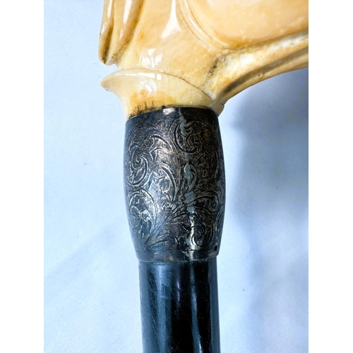 14 - A 19th Century ebony stick with carved ivory handle of a greyhound, 91cms.