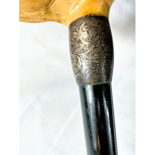 14 - A 19th Century ebony stick with carved ivory handle of a greyhound, 91cms.