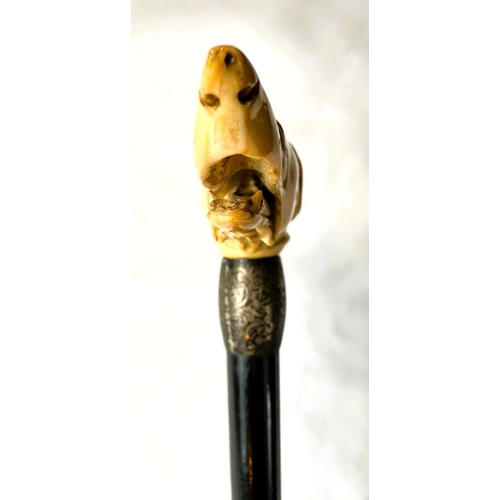 14 - A 19th Century ebony stick with carved ivory handle of a greyhound, 91cms.