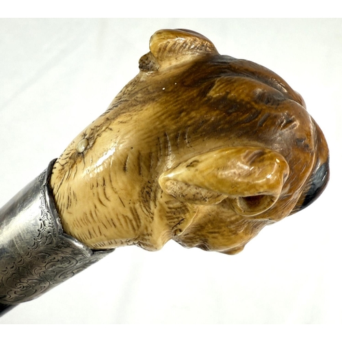 16 - A 19th Century ebony walking stick with carved ivory finial of a rottweiler, 90cms..Submission refer... 