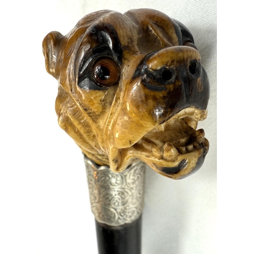 16 - A 19th Century ebony walking stick with carved ivory finial of a rottweiler, 90cms..Submission refer... 