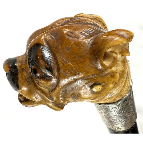 16 - A 19th Century ebony walking stick with carved ivory finial of a rottweiler, 90cms..Submission refer... 