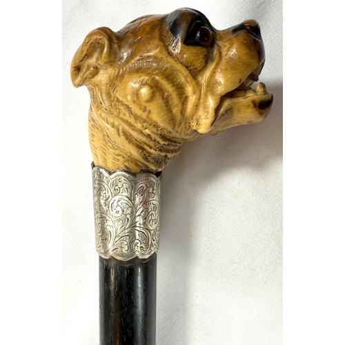 16 - A 19th Century ebony walking stick with carved ivory finial of a rottweiler, 90cms..Submission refer... 