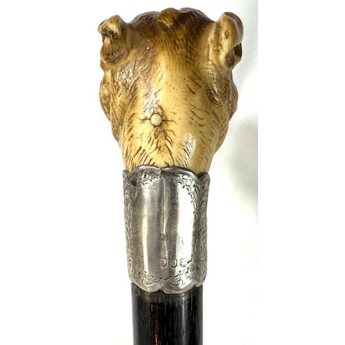 16 - A 19th Century ebony walking stick with carved ivory finial of a rottweiler, 90cms..Submission refer... 