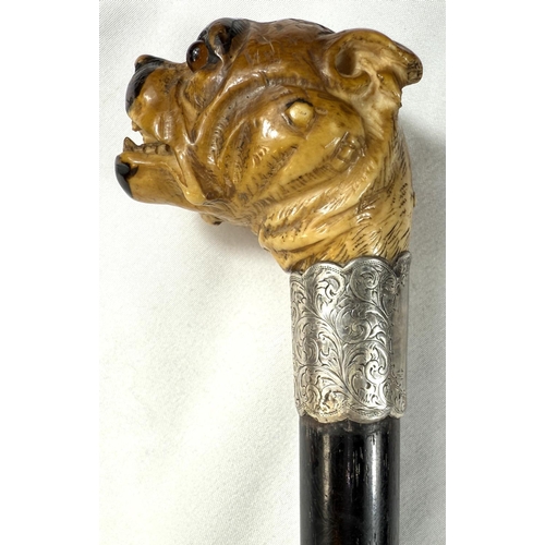 16 - A 19th Century ebony walking stick with carved ivory finial of a rottweiler, 90cms..Submission refer... 